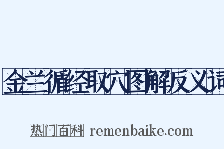 金兰循经取穴图解反义词是什么意思的图片